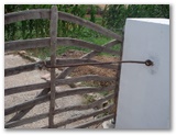 
		Detall ganxo (reforça la subjecció de la barrera) / Detalle gancho ( refuerza la sujección de la puerta)
	